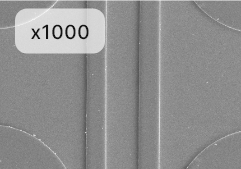 Cross section image 1