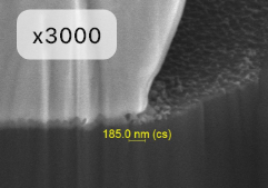 Cross section image 4