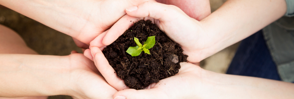 액티비티 관련 이미지